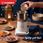 Moulin à Café et Épices Hommer 300W – 600ml – Image 2